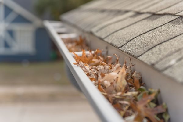 Leaf Barrier Installation Service